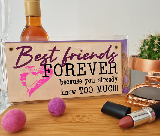 The Plum Penguin Best Friends Forever Know Too Much Funny Handmade Wooden Hanging Wall Plaque Decoration Gift BFF Bestie Friendship
