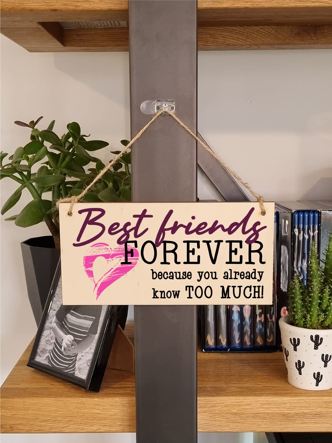 The Plum Penguin Best Friends Forever Know Too Much Funny Handmade Wooden Hanging Wall Plaque Decoration Gift BFF Bestie Friendship