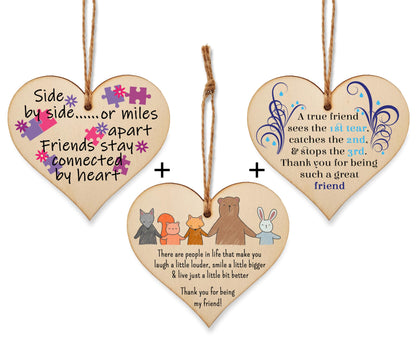 The Plum Penguin Embracing Bonds Unique Friendship Heart Plaque Collection