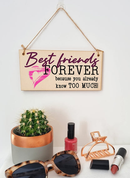 The Plum Penguin Best Friends Forever Know Too Much Funny Handmade Wooden Hanging Wall Plaque Decoration Gift BFF Bestie Friendship