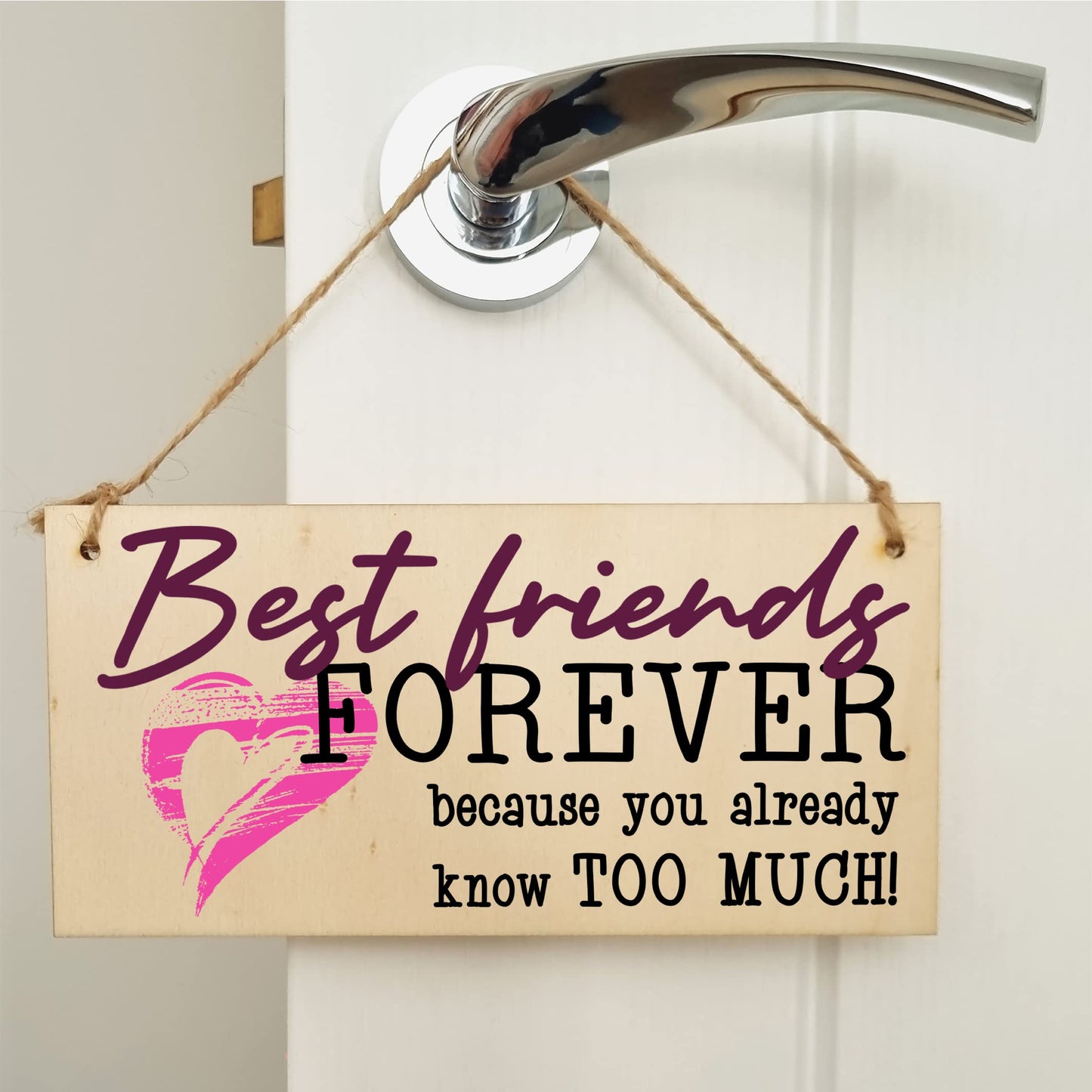 The Plum Penguin Best Friends Forever Know Too Much Funny Handmade Wooden Hanging Wall Plaque Decoration Gift BFF Bestie Friendship
