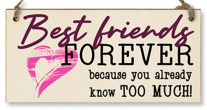 The Plum Penguin Best Friends Forever Know Too Much Funny Handmade Wooden Hanging Wall Plaque Decoration Gift BFF Bestie Friendship