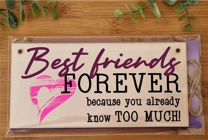The Plum Penguin Best Friends Forever Know Too Much Funny Handmade Wooden Hanging Wall Plaque Decoration Gift BFF Bestie Friendship